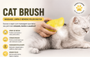 Escova a Vapor 3 em 1 para Cães e Gatos