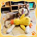 Patinho Interativo para Cães – Com Apito Interno e Tecido Resistente