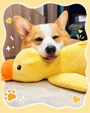 Patinho Interativo para Cães – Com Apito Interno e Tecido Resistente