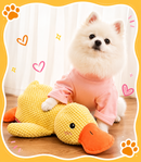 Patinho Interativo para Cães – Com Apito Interno e Tecido Resistente