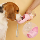 Bebedouro de Viagem para Cães e Gatos